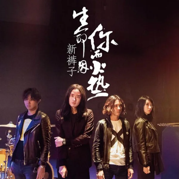 没有理想的人不伤心 · 曲目发行封面